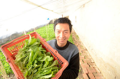 润丰中农效果展示